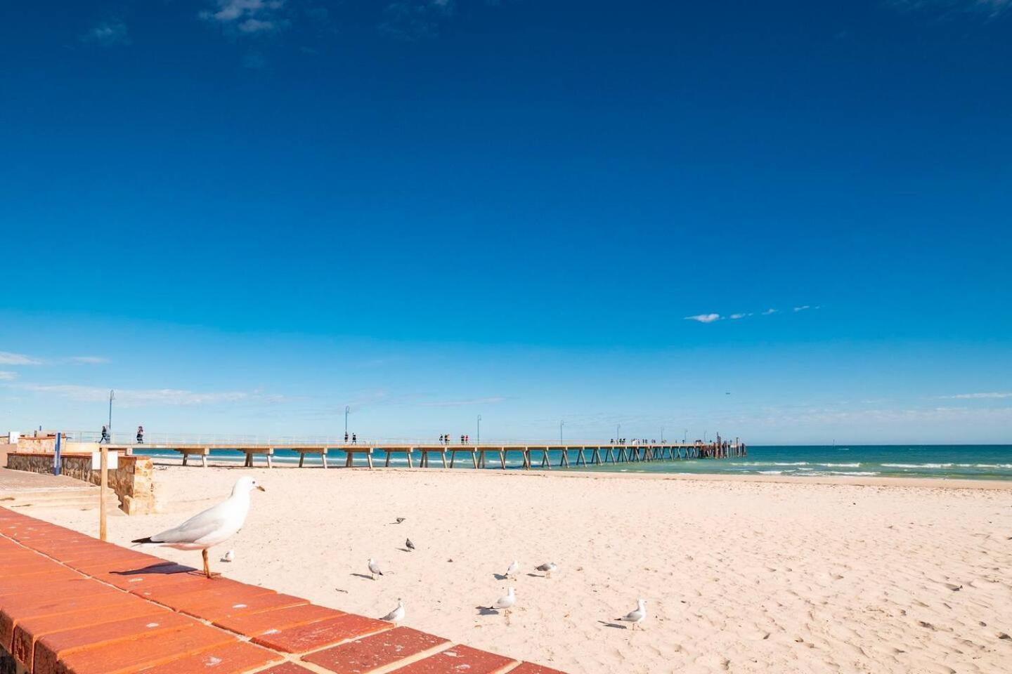 "Ocean Sunset" Glenelg Central Studios Exterior photo